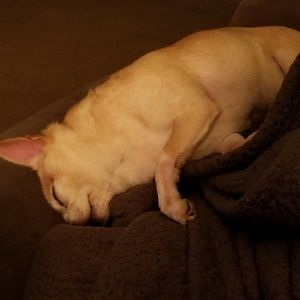 Meet your Posher, Jessica